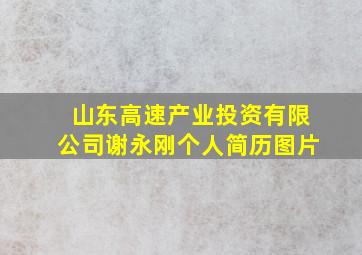 山东高速产业投资有限公司谢永刚个人简历图片