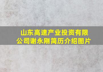 山东高速产业投资有限公司谢永刚简历介绍图片