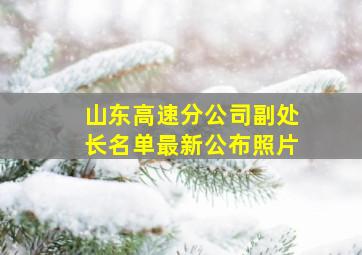 山东高速分公司副处长名单最新公布照片