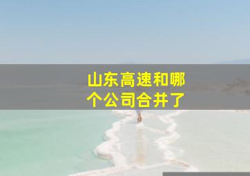 山东高速和哪个公司合并了