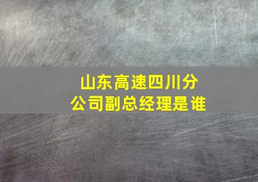 山东高速四川分公司副总经理是谁