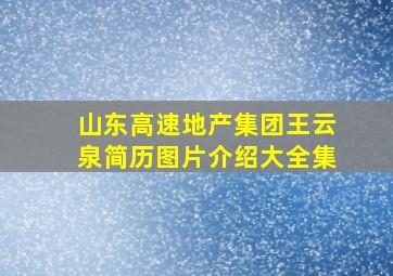 山东高速地产集团王云泉简历图片介绍大全集