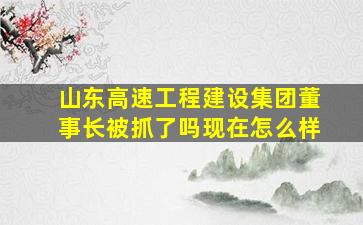 山东高速工程建设集团董事长被抓了吗现在怎么样