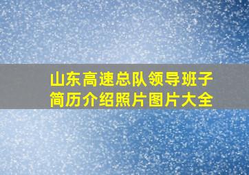 山东高速总队领导班子简历介绍照片图片大全