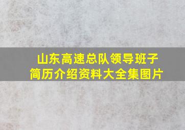 山东高速总队领导班子简历介绍资料大全集图片