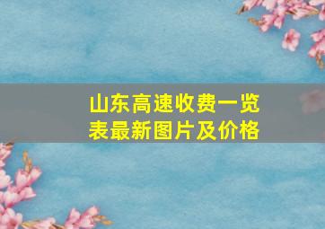 山东高速收费一览表最新图片及价格