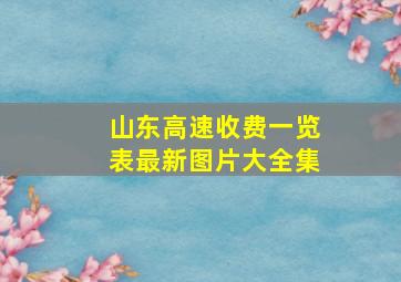 山东高速收费一览表最新图片大全集