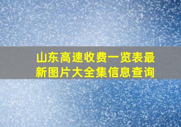 山东高速收费一览表最新图片大全集信息查询