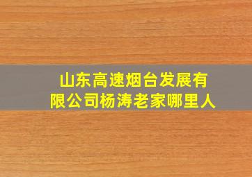 山东高速烟台发展有限公司杨涛老家哪里人