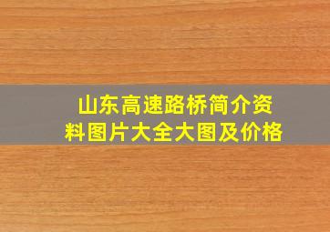 山东高速路桥简介资料图片大全大图及价格