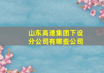 山东高速集团下设分公司有哪些公司