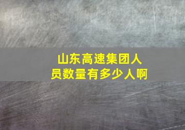 山东高速集团人员数量有多少人啊