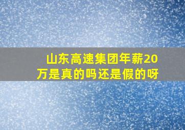 山东高速集团年薪20万是真的吗还是假的呀