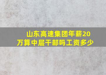 山东高速集团年薪20万算中层干部吗工资多少