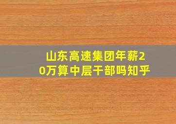 山东高速集团年薪20万算中层干部吗知乎