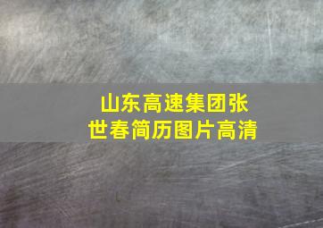 山东高速集团张世春简历图片高清