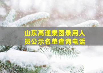 山东高速集团录用人员公示名单查询电话