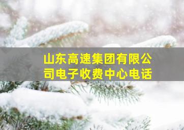 山东高速集团有限公司电子收费中心电话