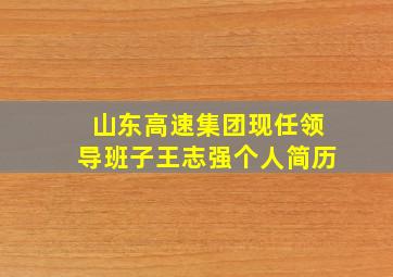 山东高速集团现任领导班子王志强个人简历