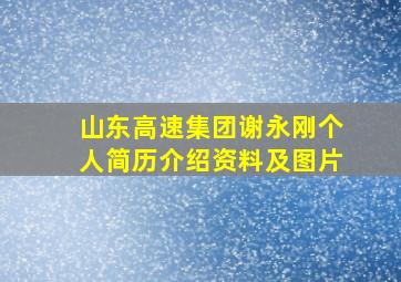 山东高速集团谢永刚个人简历介绍资料及图片