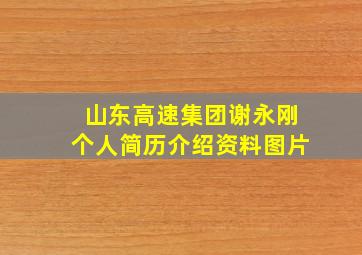 山东高速集团谢永刚个人简历介绍资料图片