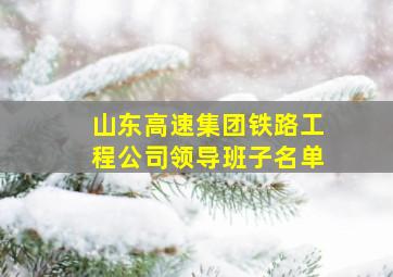 山东高速集团铁路工程公司领导班子名单