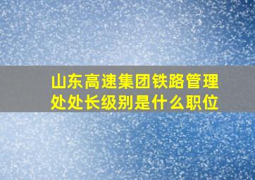 山东高速集团铁路管理处处长级别是什么职位