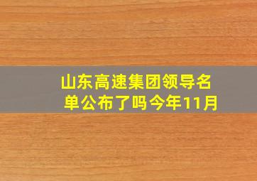 山东高速集团领导名单公布了吗今年11月