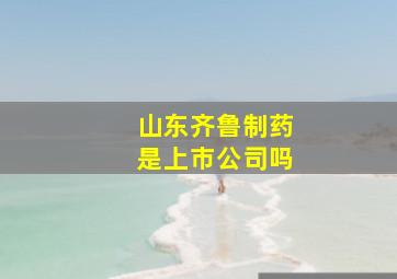 山东齐鲁制药是上市公司吗