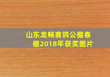 山东龙畅赛鸽公棚春棚2018年获奖图片