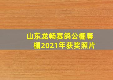 山东龙畅赛鸽公棚春棚2021年获奖照片