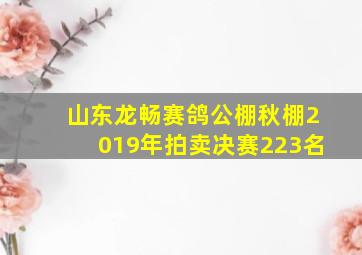 山东龙畅赛鸽公棚秋棚2019年拍卖决赛223名