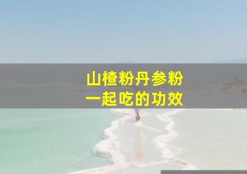 山楂粉丹参粉一起吃的功效