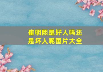 崔明熙是好人吗还是坏人呢图片大全