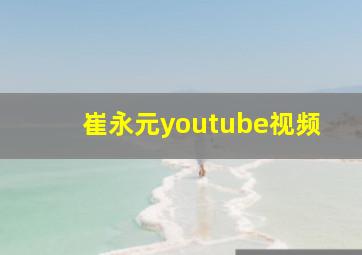 崔永元youtube视频