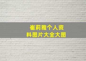 崔莉雅个人资料图片大全大图