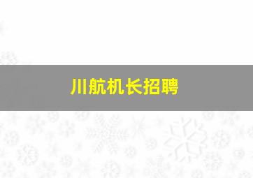 川航机长招聘