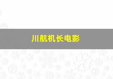 川航机长电影