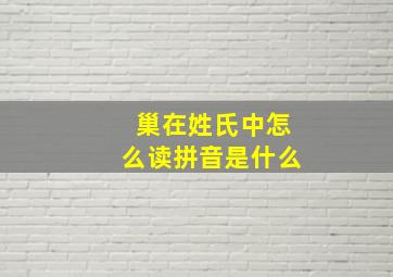 巢在姓氏中怎么读拼音是什么