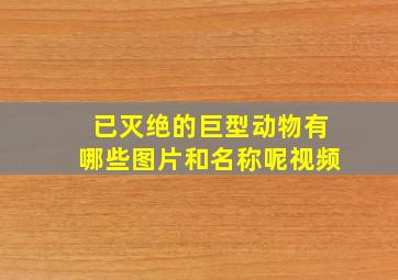 已灭绝的巨型动物有哪些图片和名称呢视频