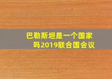 巴勒斯坦是一个国家吗2019联合国会议