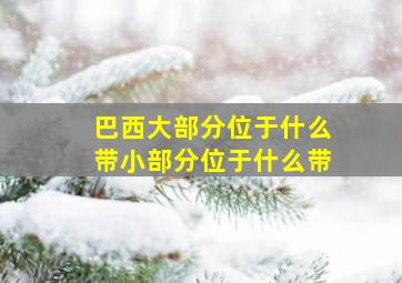 巴西大部分位于什么带小部分位于什么带