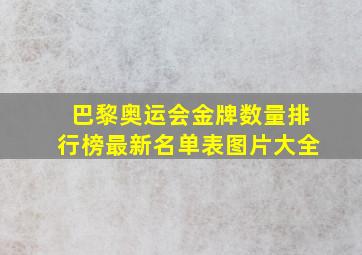 巴黎奥运会金牌数量排行榜最新名单表图片大全