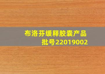 布洛芬缓释胶囊产品批号22019002