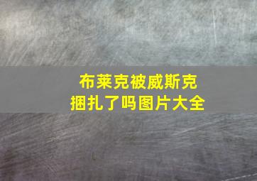 布莱克被威斯克捆扎了吗图片大全