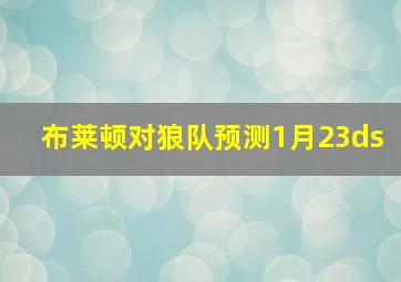 布莱顿对狼队预测1月23ds