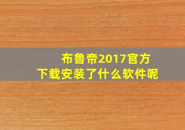 布鲁帝2017官方下载安装了什么软件呢