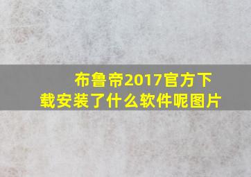 布鲁帝2017官方下载安装了什么软件呢图片