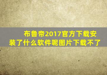 布鲁帝2017官方下载安装了什么软件呢图片下载不了