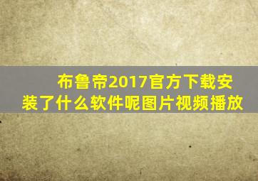 布鲁帝2017官方下载安装了什么软件呢图片视频播放